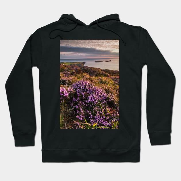 Worms Head and Rhossili Bay from Rhossili Down, Gower, Wales Hoodie by dasantillo